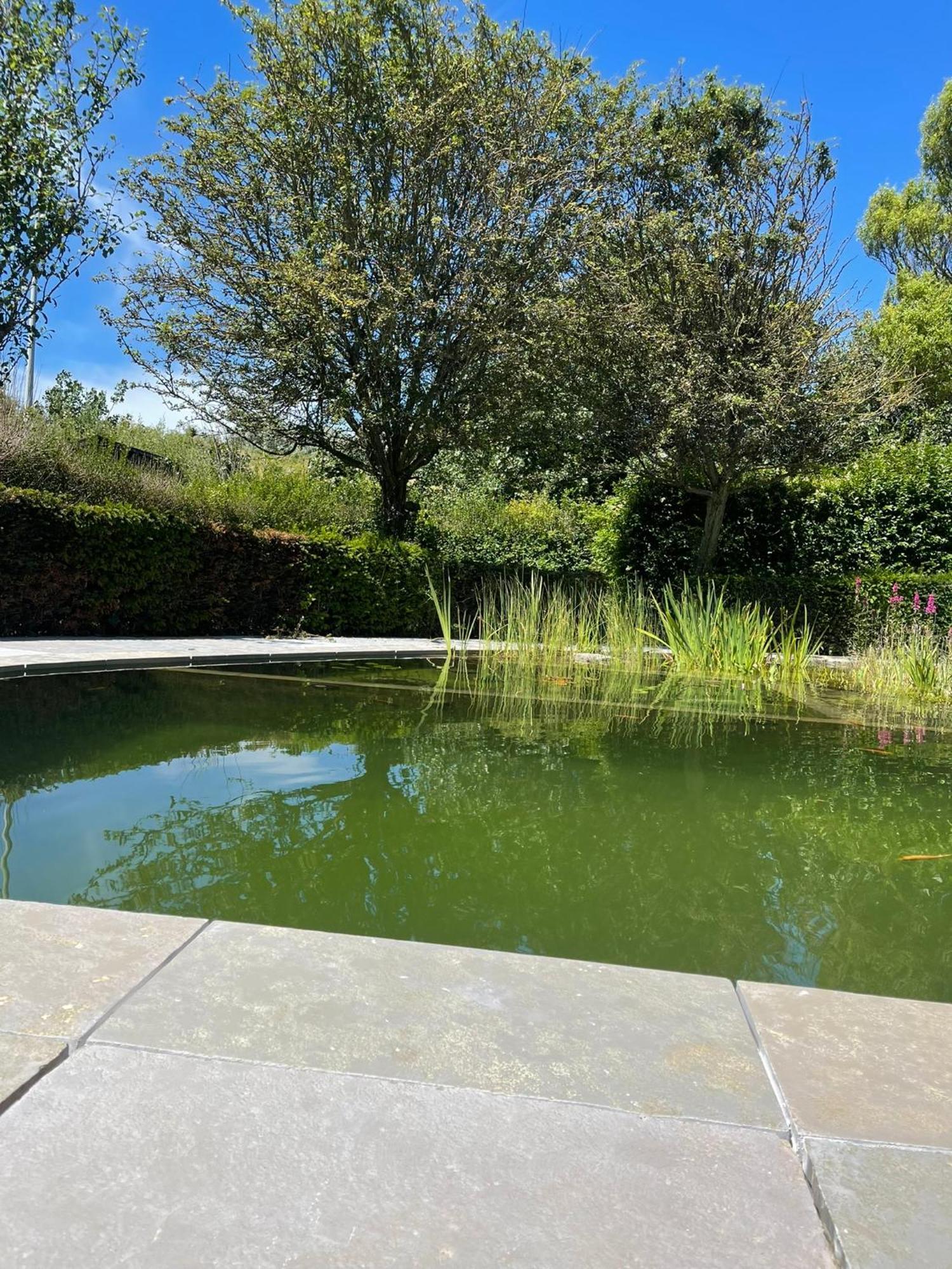 In Front Of The Sea With Natural Swimming Pond